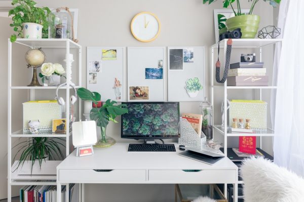 Améliorez votre productivité grâce à ces plantes sur votre bureau